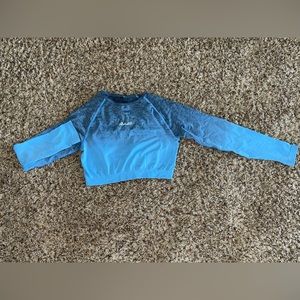 Alphalete Ombré crop long sleeve